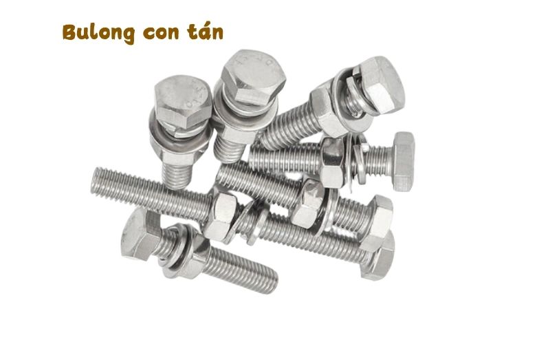 bulong-con-tan