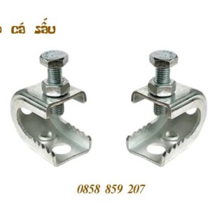 Nơi nhập dữ liệu