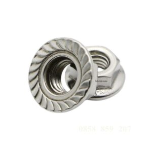Đai ốc lông đềnh M16