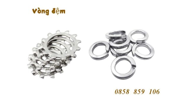 vòng-đệm