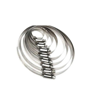 Đai xiết cổ dê inox 201