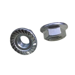 Đai ốc lông đền 24