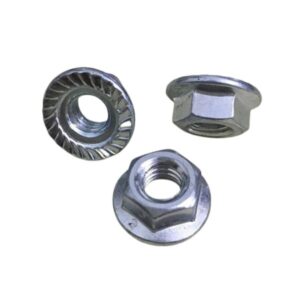 Đai ốc lông đền m20