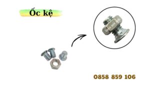 ốc-kệ-inox